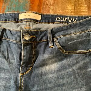 Link Women's Curvy Blue Jeans